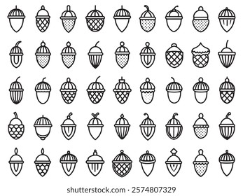 Acorn Line Art Icon Botanical Inspiration