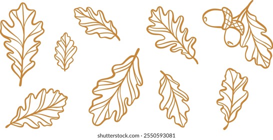 Acorn line art leaf vector illustration, autumn leaves clip art design