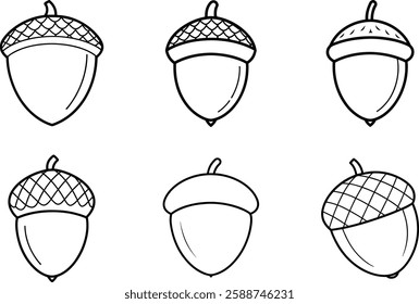 Acorn Line Art Set - Black Vector Illustration