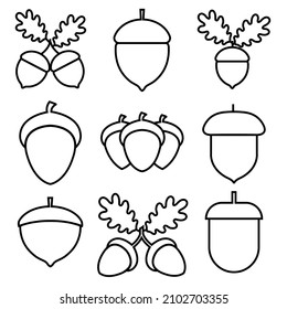 Acorn line icon, beauty vector logo isolated on white background