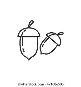 Acorn linear icon