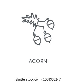 Acorn linear icon. Acorn concept stroke symbol design. Thin graphic elements vector illustration, outline pattern on a white background, eps 10.