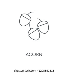 Acorn linear icon. Acorn concept stroke symbol design. Thin graphic elements vector illustration, outline pattern on a white background, eps 10.