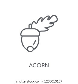 Acorn linear icon. Modern outline Acorn logo concept on white background from Fruits and vegetables collection. Suitable for use on web apps, mobile apps and print media.