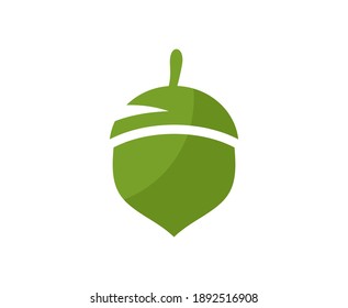 Acorn logo autumn oak vector 