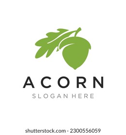 Acorn logo design with leaves with vector illustration editing.