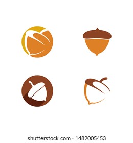 Acorn logo ilustration vector template