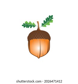 Acorn logo, ilustrtation, vector, for general business