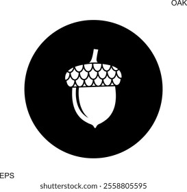 Acorn logo. Isolated acorn on white background. Oak