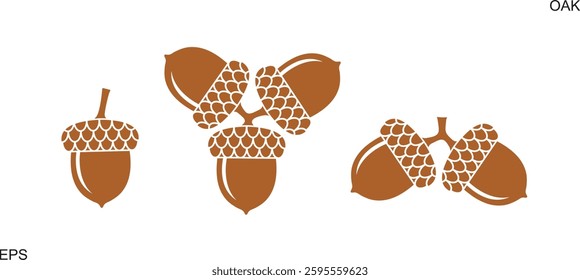 Acorn logo. Isolated acorn on white background. Oak