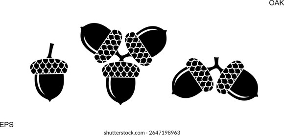Logotipo da milho. Bolota isolada sobre fundo branco. Carvalho