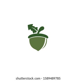 Acorn logo template vector icon design