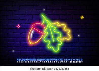 Acorn neon icon. Oak leaf, twig, fall foliage. Autumn season concept. Vector illustration can be used for street wall signs, billboards, Halloween, Thanksgiving