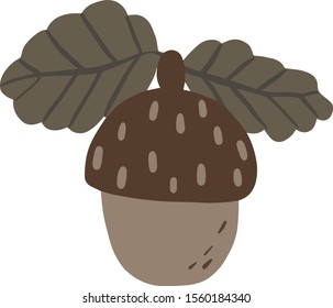 Acorn , nut and food, vector graphics, a colorful solid pattern on a white background.
