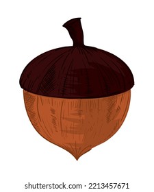 acorn nut icon isolated flat