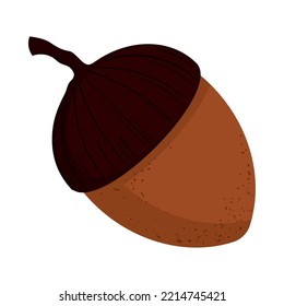 acorn nut icon isolated flat