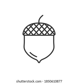 acorn, nut icon vector illustration