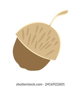 Acorn Nut Icon Vector Illustration