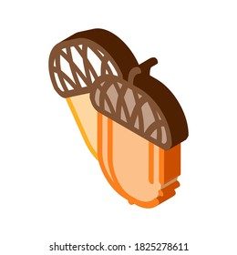 acorn nut icon vector. isometric acorn nut sign. color isolated symbol illustration