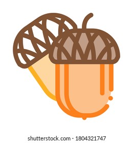 acorn nut icon vector. acorn nut sign. color symbol illustration