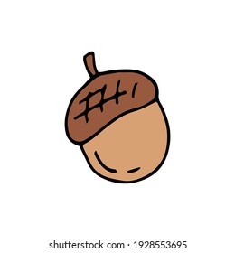 Acorn. Nut. Oak. Vector hand-drawn doodle illustration.