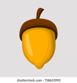 acorn nut vector design for autumn and thanksgiving day