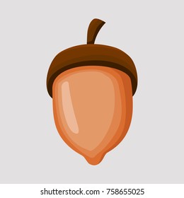 acorn nut vector design for autumn and thanksgiving day