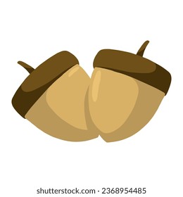 acorn nuts autumn vector illustration