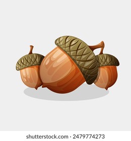 Acorn nuts illustration, acorn oak nut seeds