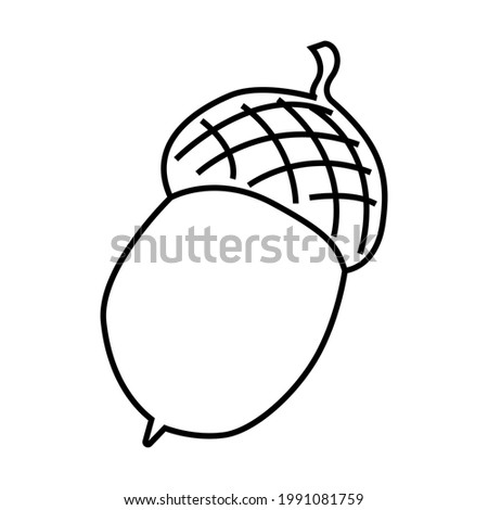 Acorn. Oak. Doodle style. For decorating postcards, covers, texts. Vector outline illustration.  Isolated on a white background