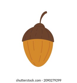 Acorn. Oak fruit. Vector illustration in cartoon style. Isolated on white background.