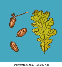 Acorn and oak leaf