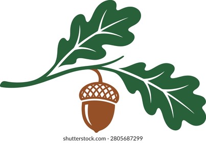 Acorn and Oak Leaf Illustration Featuring Detailed Natural Elements in Green and Brown