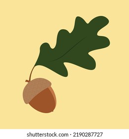 acorn and oak leaf on yellow background