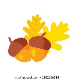 Acorn with oak leaf. Vector illustration on a theme of autumn.