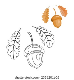 Acorn and oak leaves on a white background sketch for coloring and illustration. Autumn print, vector	
