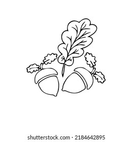 acorn and oak leaves outline black and white illustration, handmade