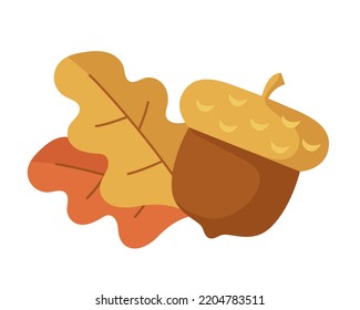 Acorn and oak leaves. Vector clipart isolated on white background.