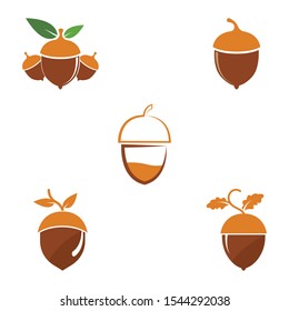 Acorn oak logo illustration vector