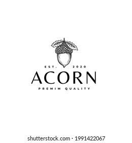 Acorn Oak Nut Drawing Logo Vector Illustration Icon Template