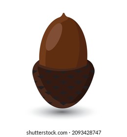 acorn or oak nut isolated on white background, vector illustration