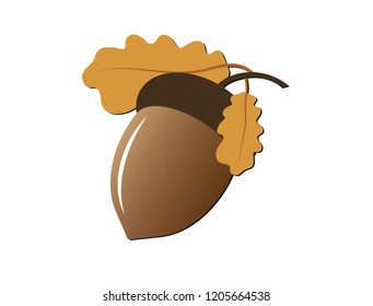 Acorn, oak nut, seed. Cartoon flat style. Vector illustration