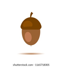 Acorn, oak nut, seed. Made in cartoon flat style