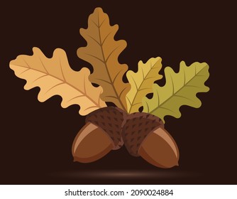 acorn, oak nut, vector illustration