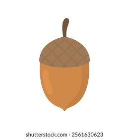 acorn oak tree fruit flat design vector illustration.