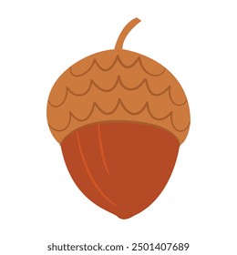 Acorn. Oak tree fruit. Hand drawn trendy flat style isolated on white background. Vector illustration