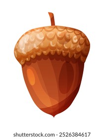 Bolota de carvalho isolado sobre fundo transparente