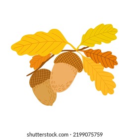 Acorn, oak tree seed and leaves branch, simple hand drawn flat style vector illustration, autumn fall design element, thanksgiving holiday celebration, harvest time concept, decor