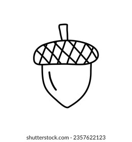 Acorn or oaknut, doodle style flat vector outline for coloring book