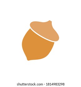 Acorn or oaknut seed icon flat vector design